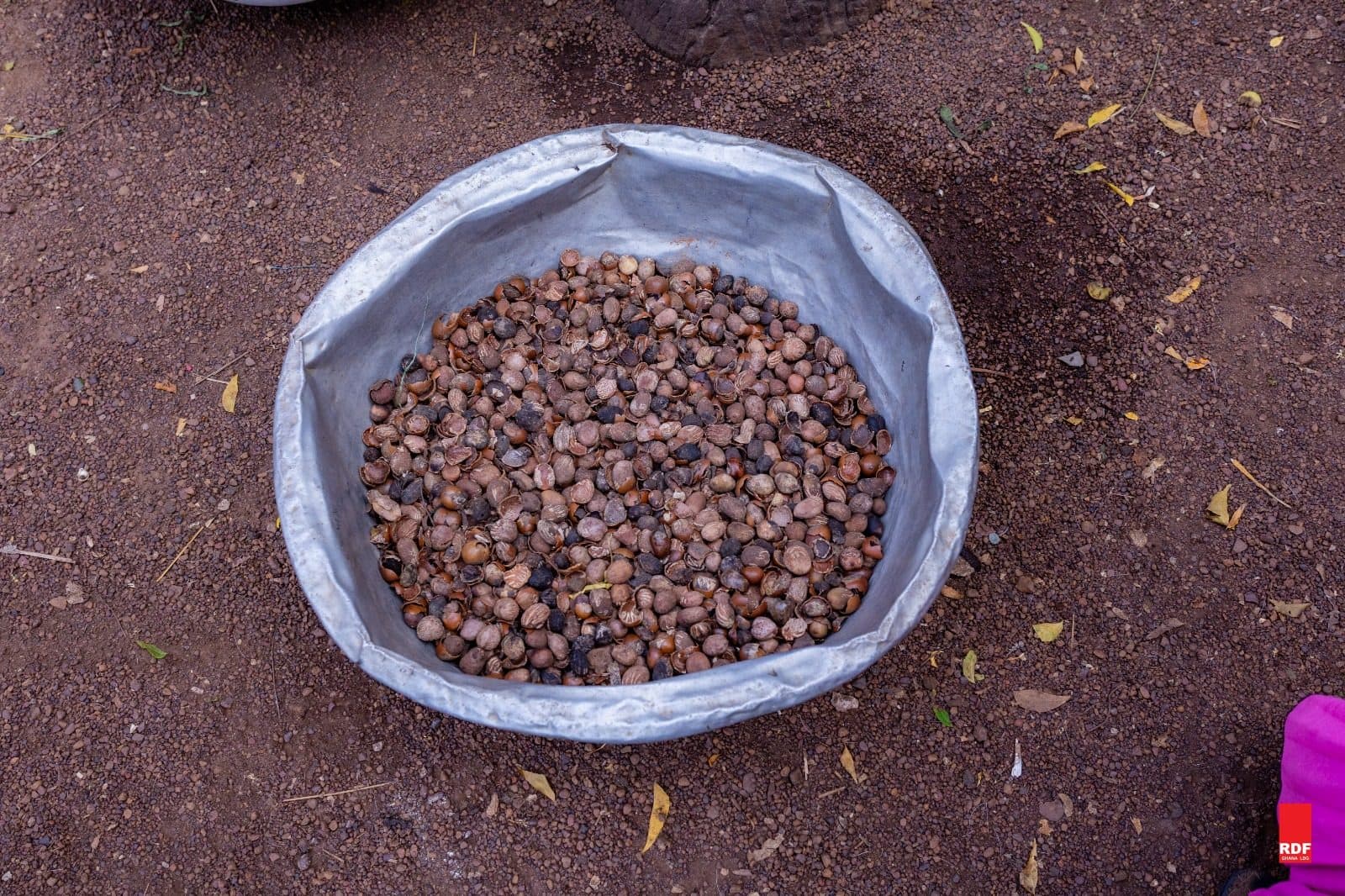 RDF Ghana field activity