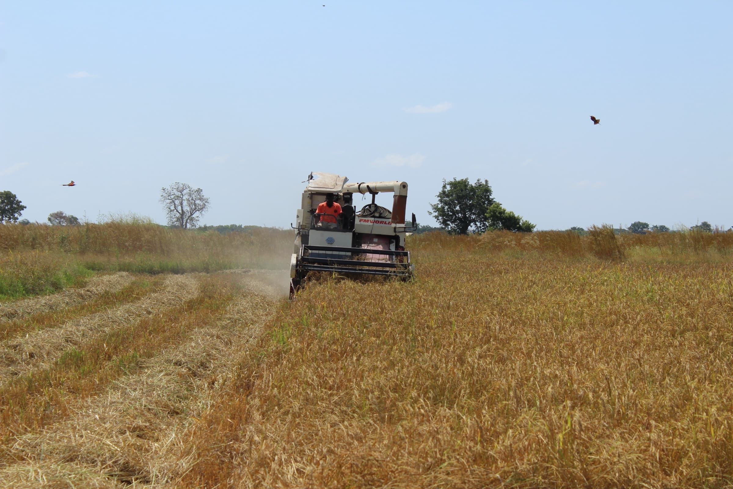 RDF Ghana programme engagement