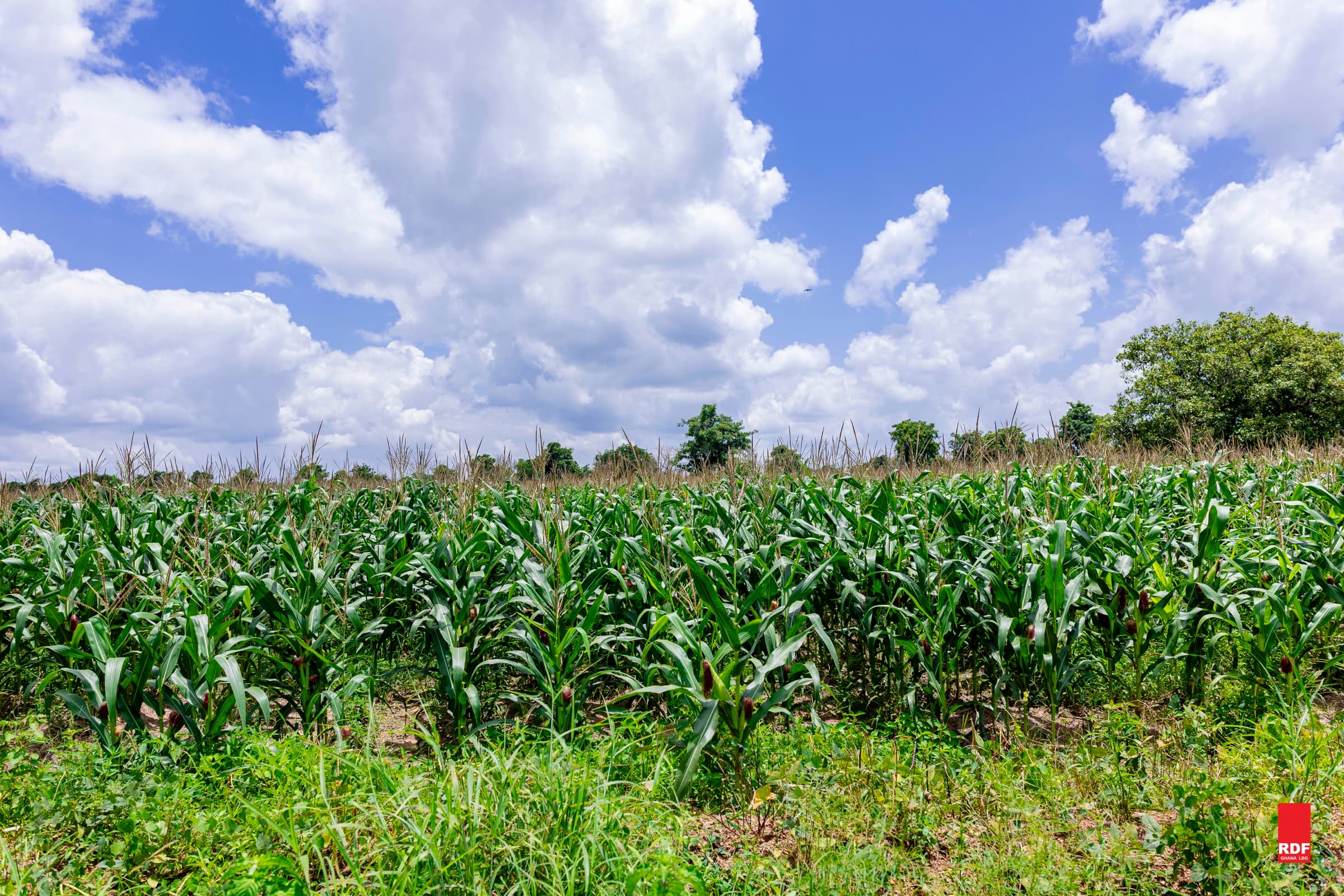 Increase Incomes & Improve Livelihoods