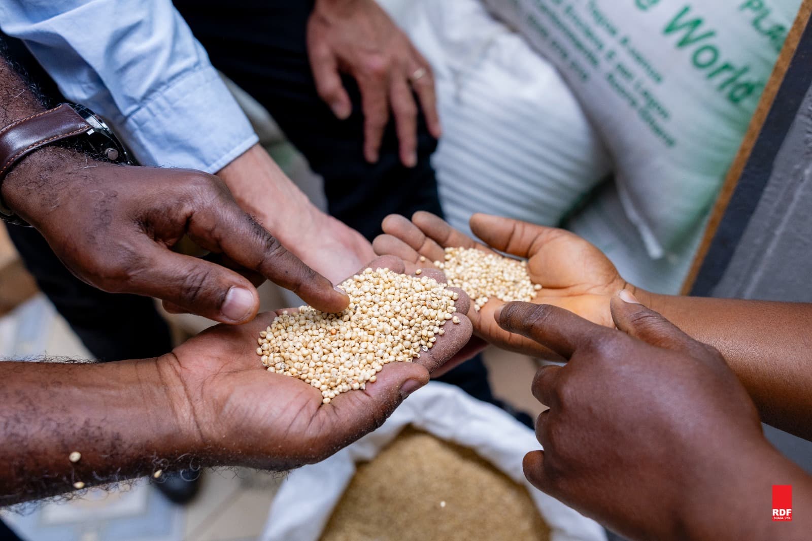 Build Climate Resilience & Food Security